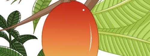 トロピカルフルーツ日記｜旬太郎の果樹園ブログ